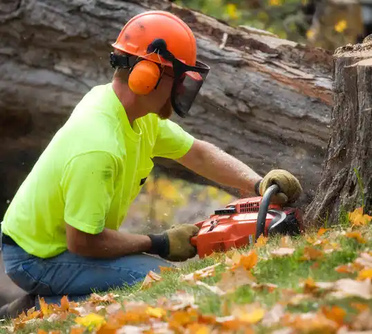 tree services Carrizozo